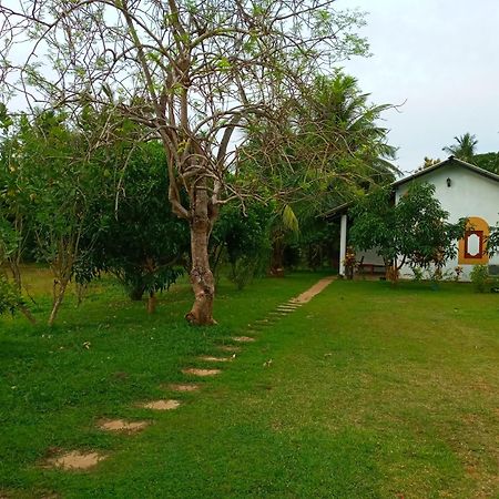 Hideaway Homestay Habarana Kültér fotó