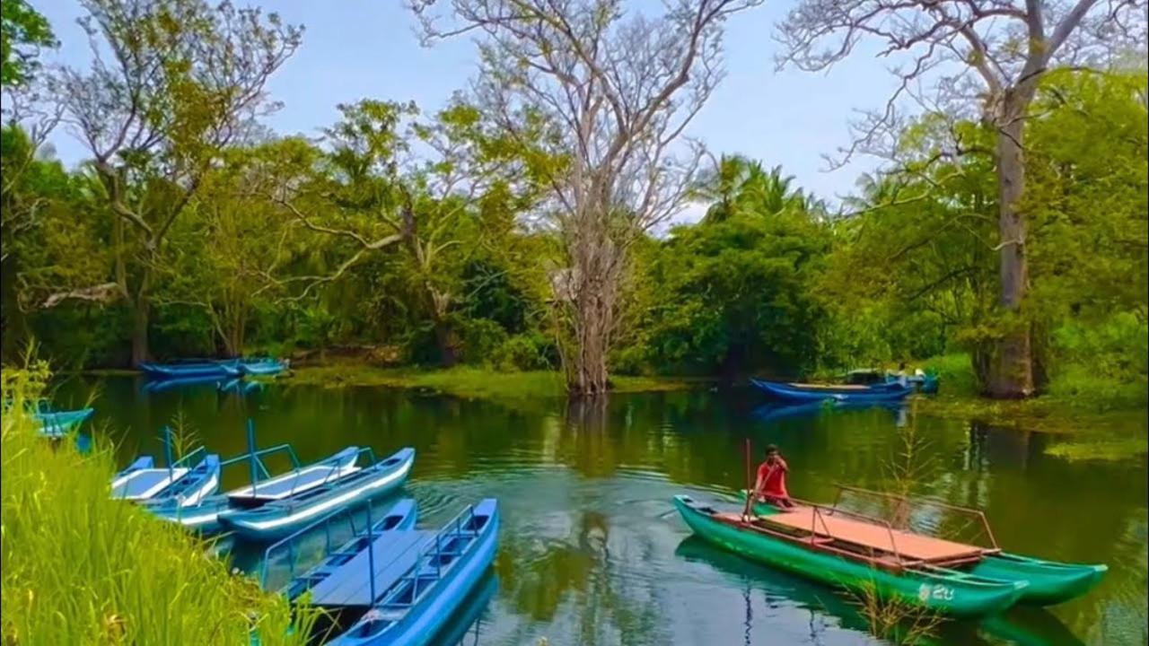 Hideaway Homestay Habarana Kültér fotó