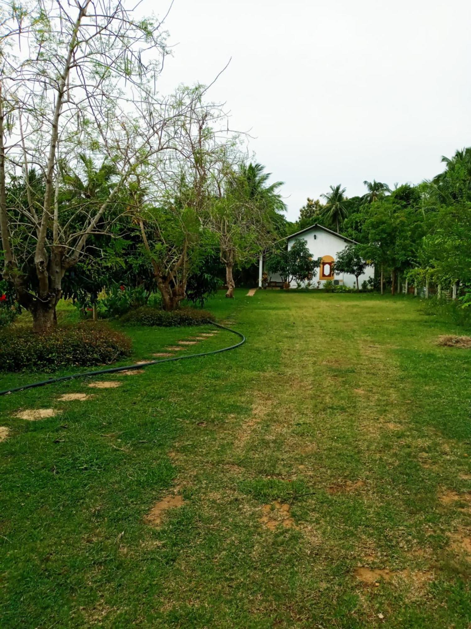 Hideaway Homestay Habarana Kültér fotó
