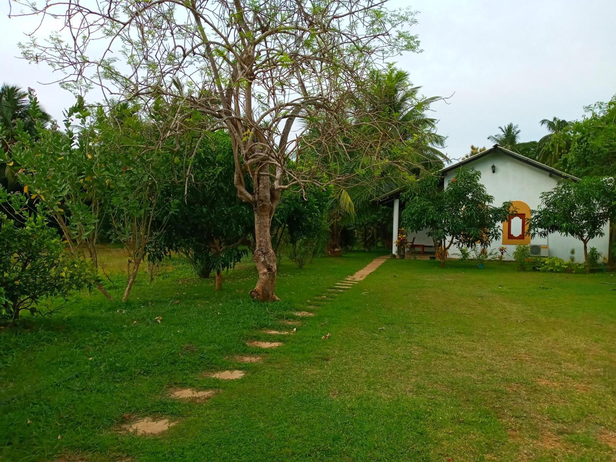 Hideaway Homestay Habarana Kültér fotó