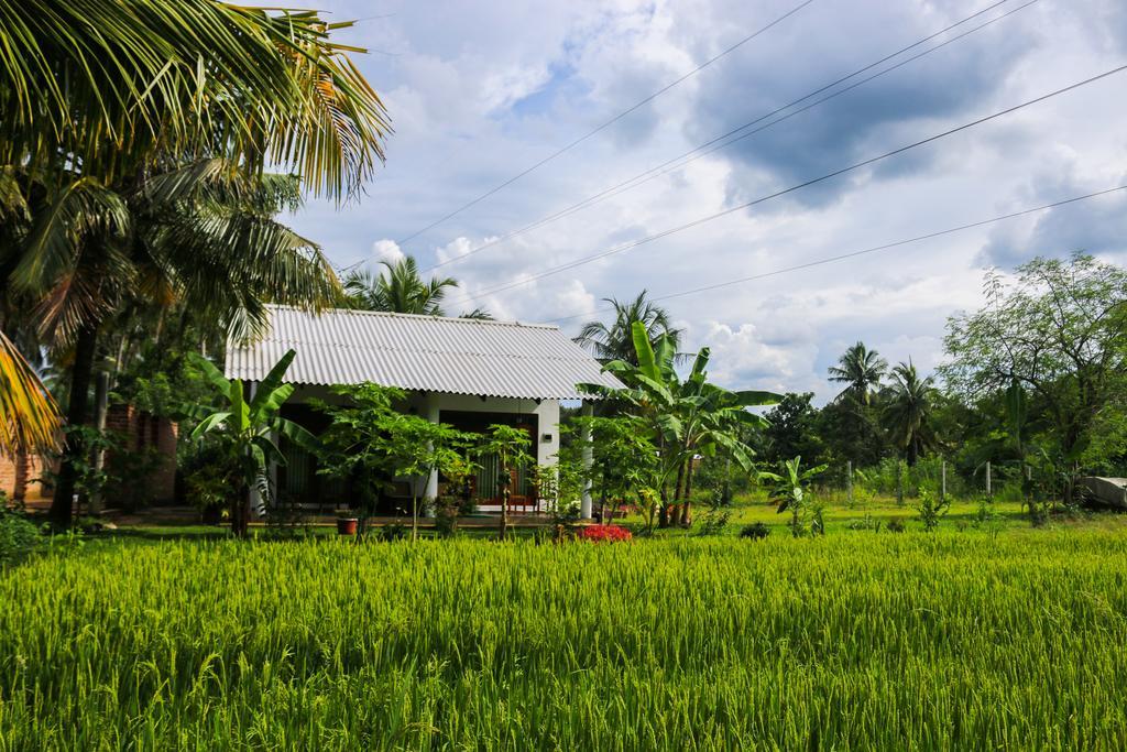 Hideaway Homestay Habarana Kültér fotó