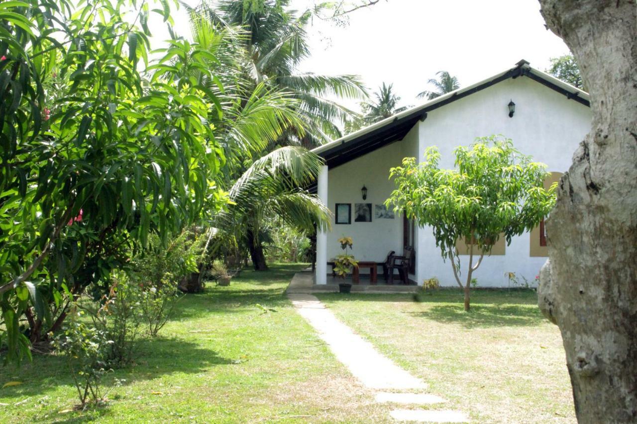 Hideaway Homestay Habarana Kültér fotó